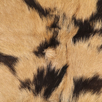 Tabourets de bar Bohème / Nature fourrure en lot de 2 en cuir véritable et bois de manguier Brun  {attributes}